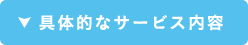 具体的なサービス内容